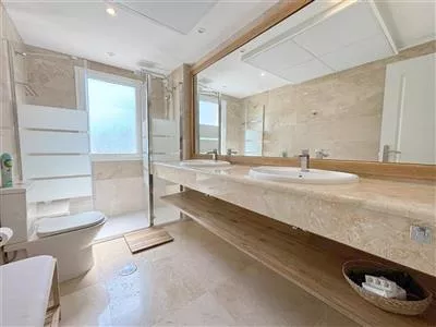 EC4.WATCH_En-suite_bathroom_with_walk-in_shower,_WC_and_double_hand_basin.JPG