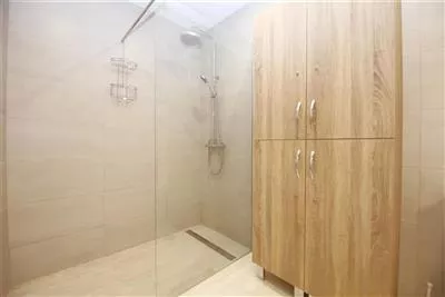 8._Another_view_of_the_bathroom_with_walk-in_shower.JPG
