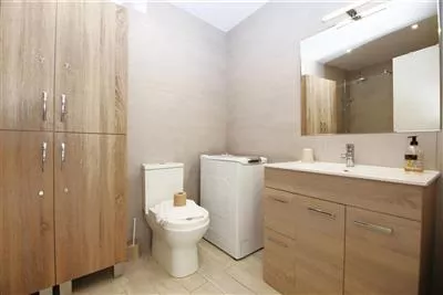 8._Modern_bathroom_with_shower,__WC,_washing_machine_and_hand_basin.JPG