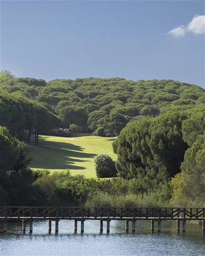 8008_ALMENARA_p_j_s_62A8314_v1_4x5 kopiera 2.jpg