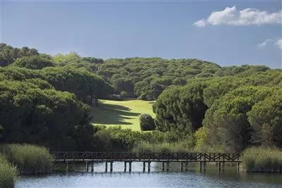 8008_ALMENARA_p_j_s_62A8314_v1 kopiera.jpg